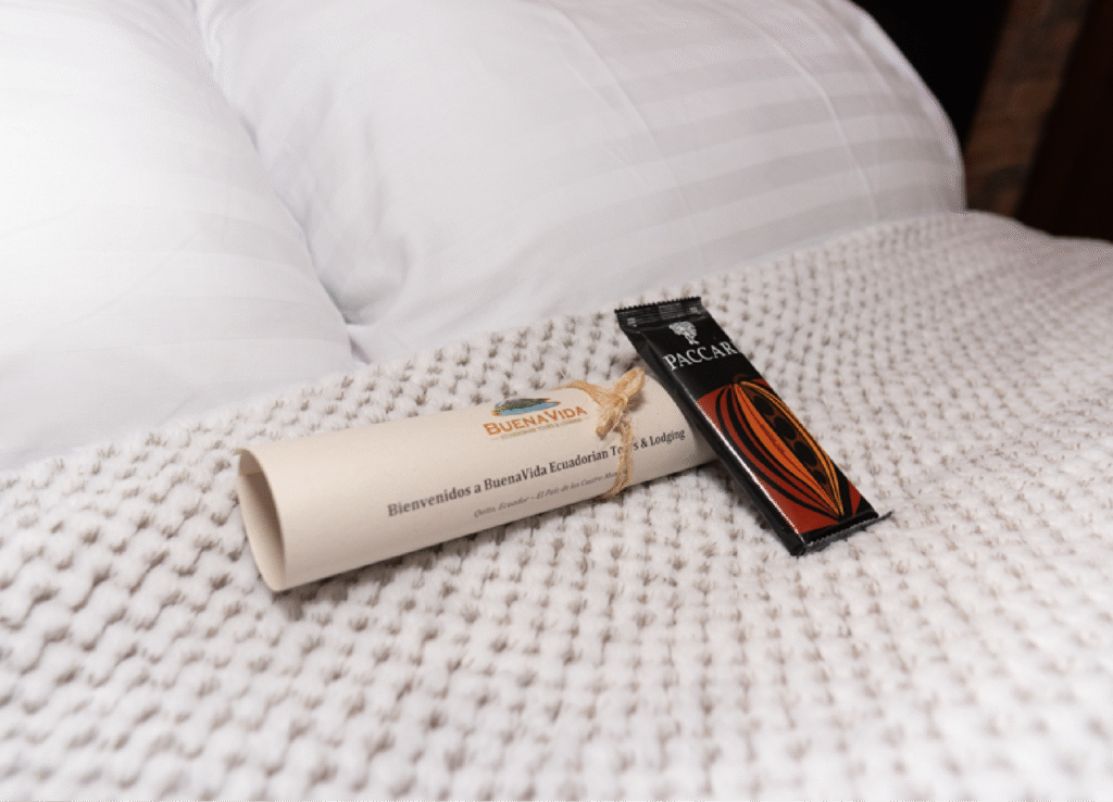 Imagen_Nuestros servicios